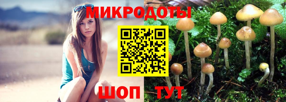 Галлюциногенные грибы мухоморы Рыбинск
